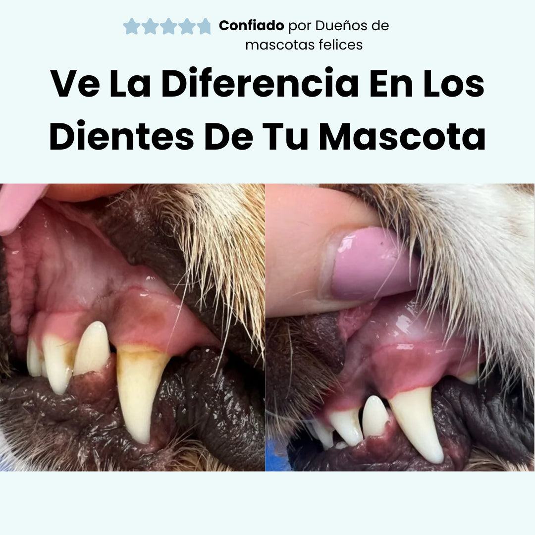 Driova –  Protege contra las enfermedades dentales