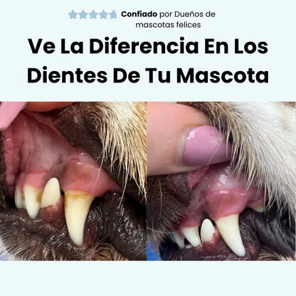 Driova –  Protege contra las enfermedades dentales