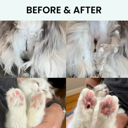 Driova-Cortapelos para gatos: seguro y silencioso