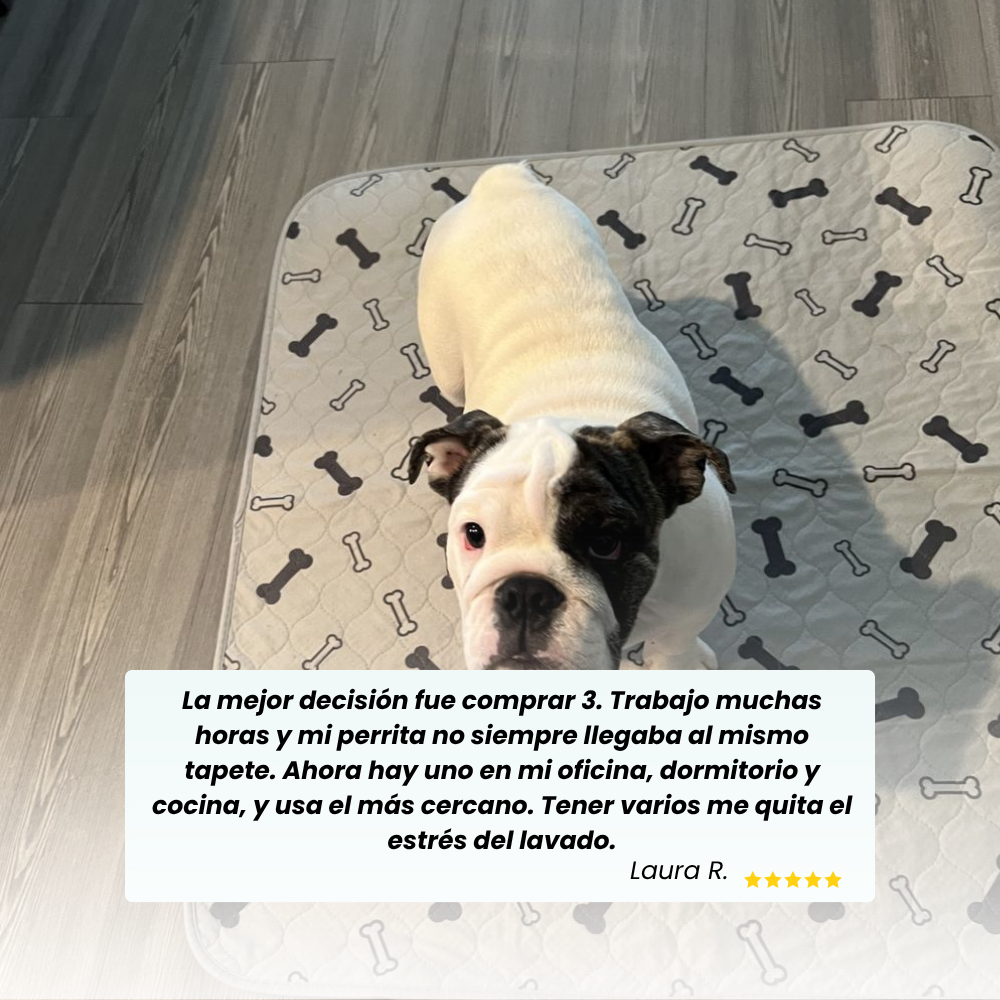 Driova – Secado rápido, cero fugas, máximo confort