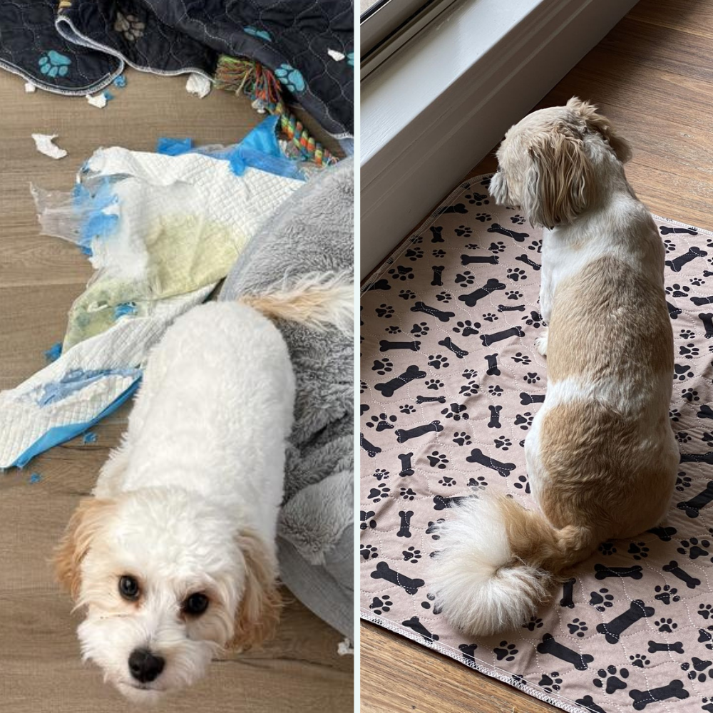 Driova – Secado rápido, cero fugas, máximo confort