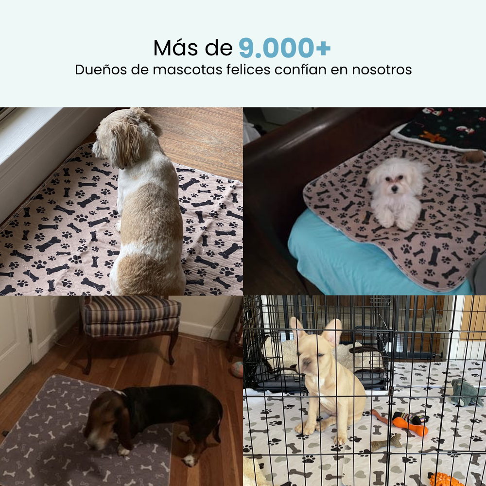 Driova – Secado rápido, cero fugas, máximo confort