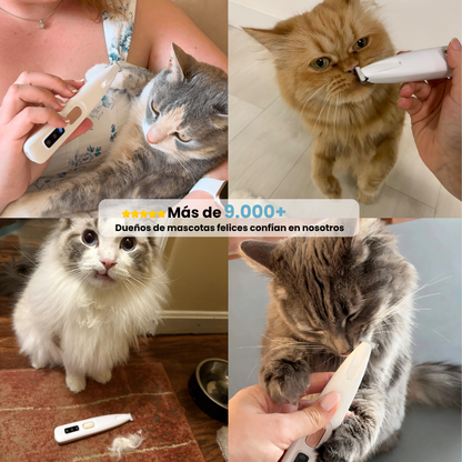 Driova-Cortapelos para gatos: seguro y silencioso