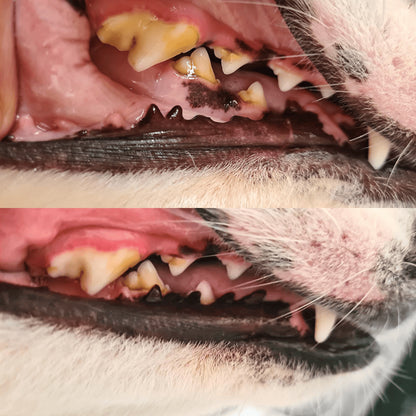 Driova –  Protege contra las enfermedades dentales