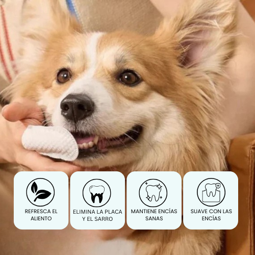 Driova –  Protege contra las enfermedades dentales