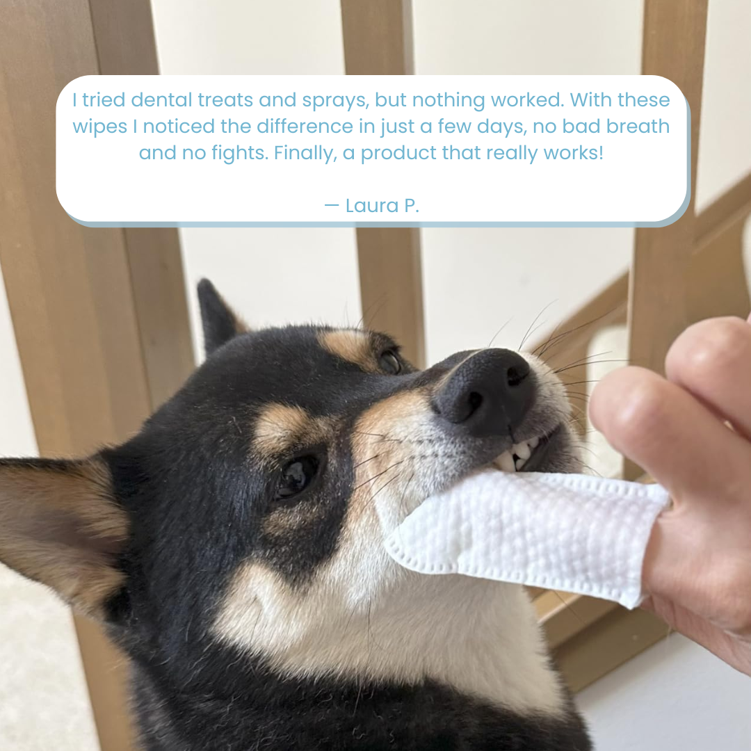 Driova-Healthy Teeth Finger Wipes