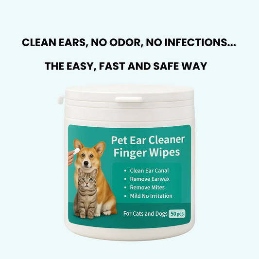 Protects & Clean ear problems.