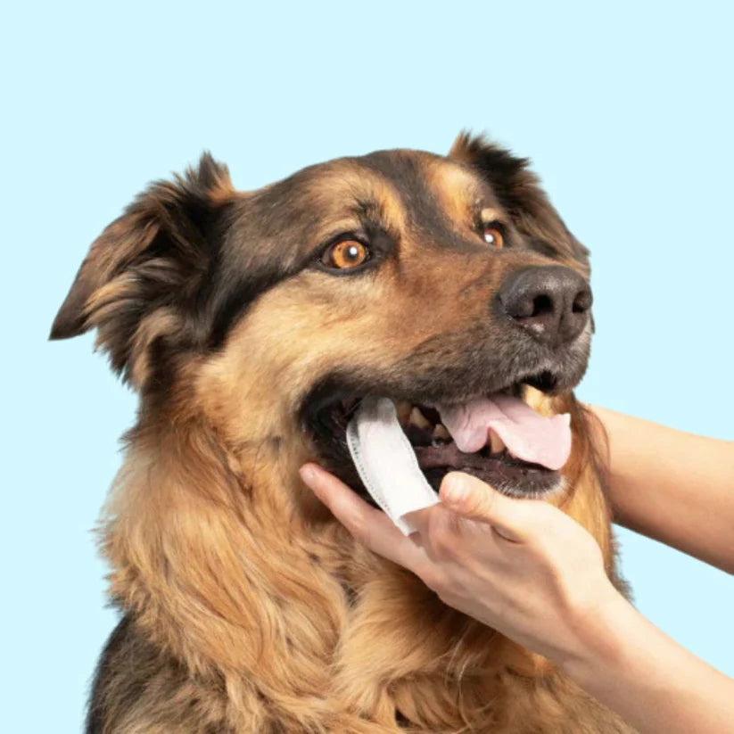 Driova –  Protege contra las enfermedades dentales