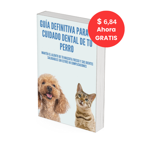 Definitive Guide to Your Dog’s Dental Care